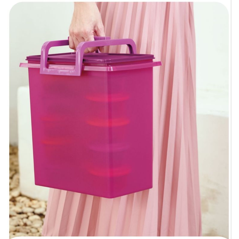 Jumbo Keep N Carry Tupperware