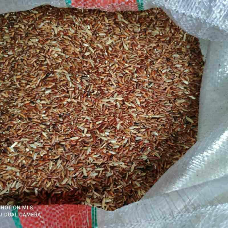 BERAS MERAH PAKAN AYAM BERAS MERAH MURAH