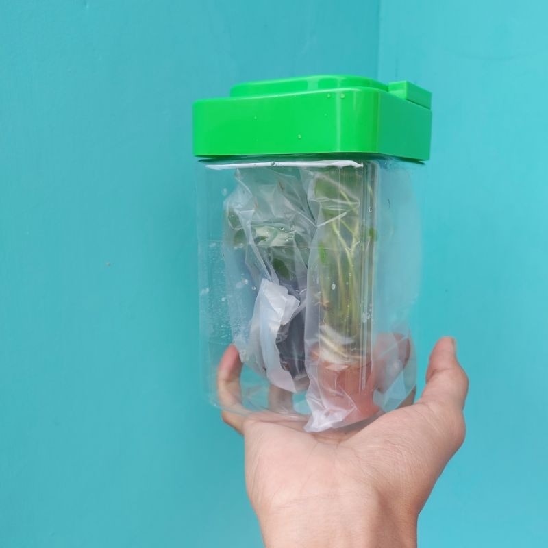 Gatcha Wadah Bening Akuarium Vas Ikan cupang Toples 3000ml Botol Plastik Kaca