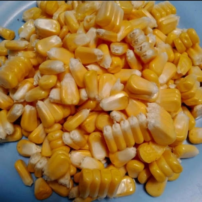 

Jagung pipil