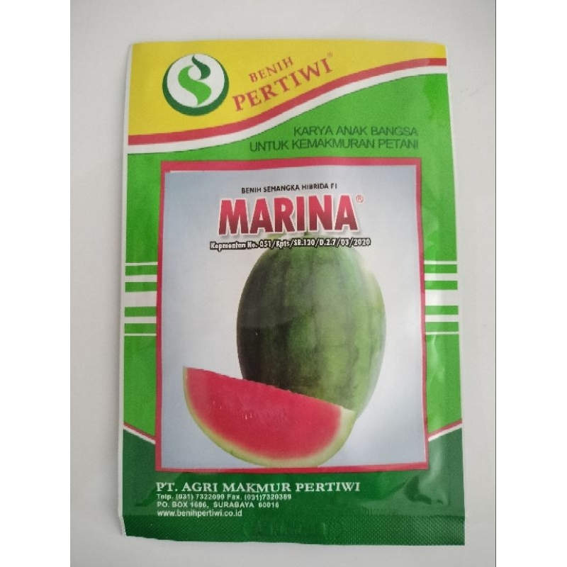 Benih Semangka Non Biji MARINA F1 20GR