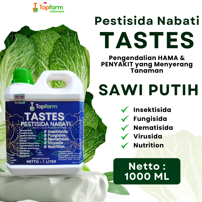Obat Untuk Sawi Putih / Obat Hama Sawi Putih/ Obat Semprot Hama Sawi Putih Obat Sawi Putih / Obat Da