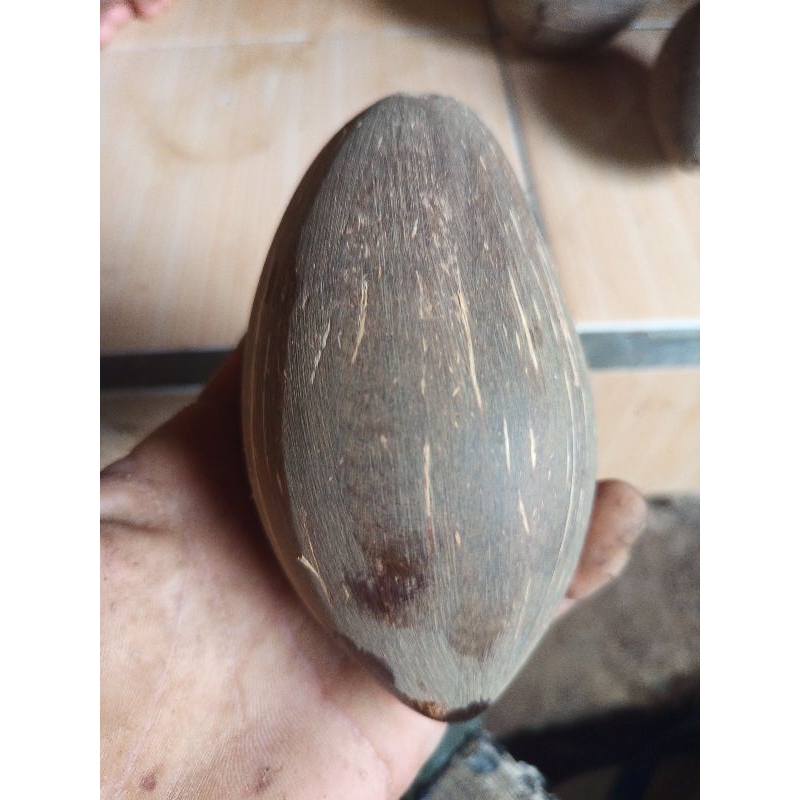 batok kelapa bahan kerajinan