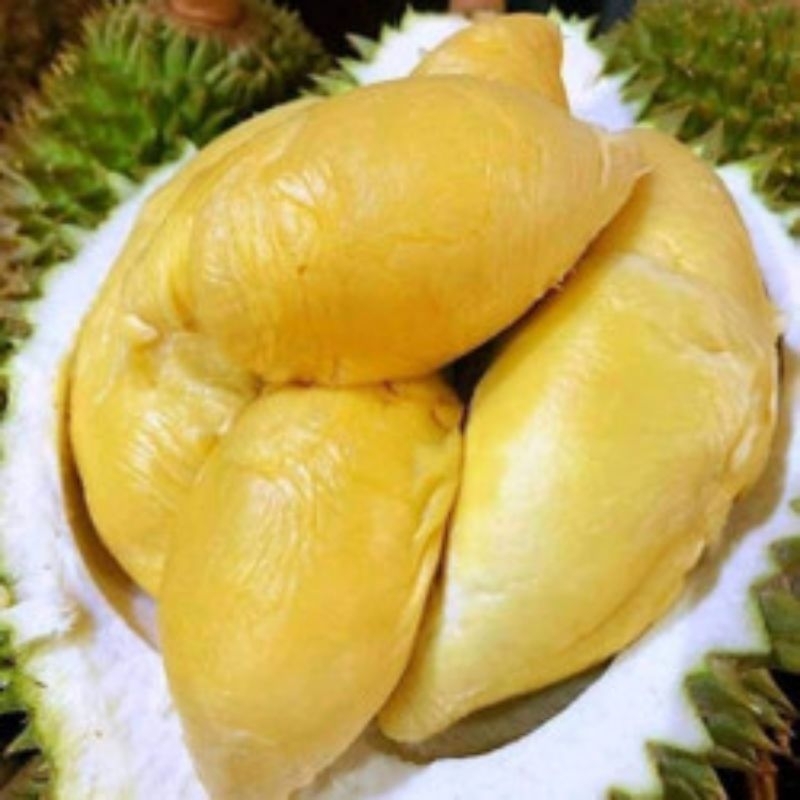 

Durian Bawor Premium - Durian King Bawor Kupas