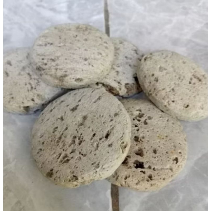 Batu Apung Asli Diameter 6cm | Batu Apung Gosok Daki | Batu Apung Tangkringan branjangan