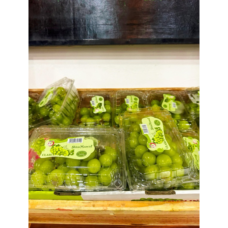 

Anggur Shine Muscat Super Manis