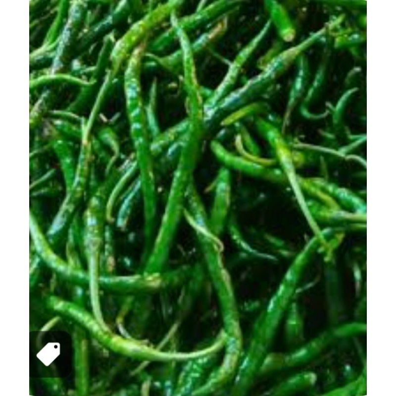 

cabai keriting hijau segar 1kg