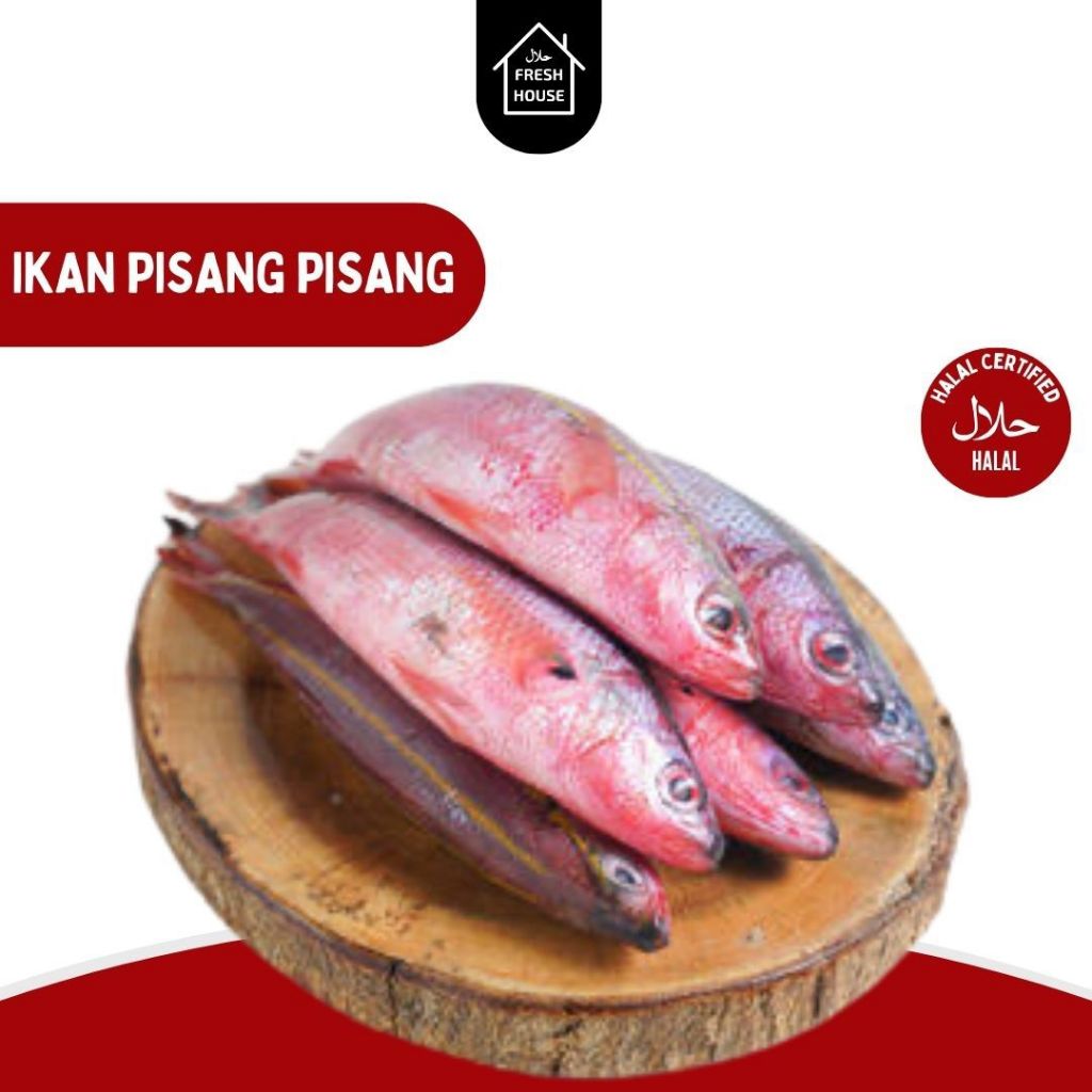 

IKAN PISANG-PISANG FROZEN FRESH
