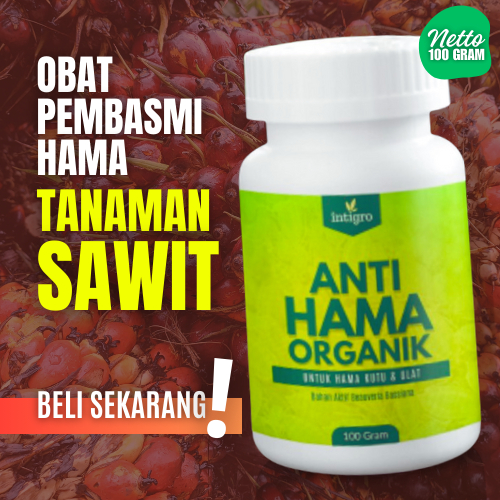 Obat Pembasmi Hama Kelapa Sawit Ulat Kutu Wawung Hama Daun Penggerek Batang Buah Sawit Bibit Sawit