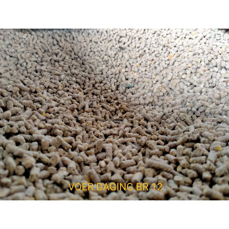 VOER AYAM BR 12 PAKAN AYAM PEDAGING PUR KASAR UNGGAS