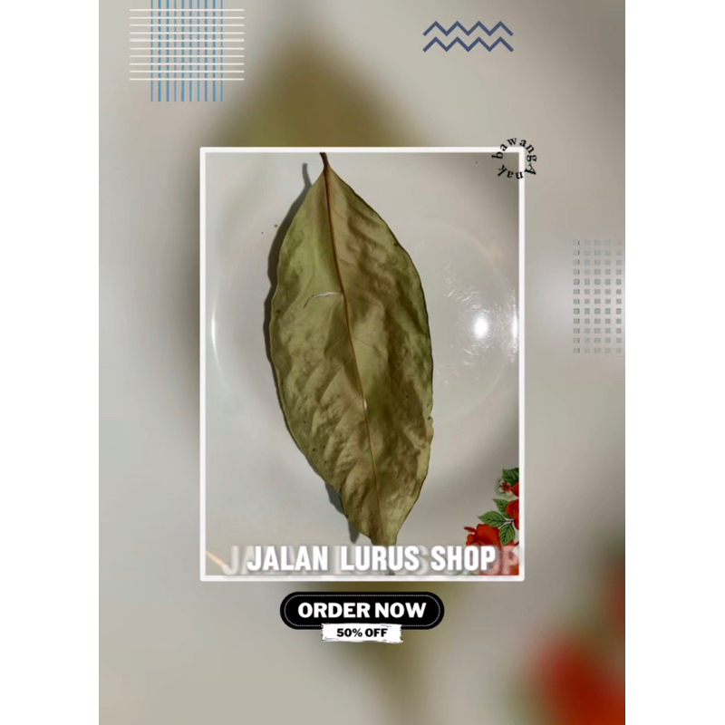 

Daun Salam Kering 500gr Kualitas Bagus