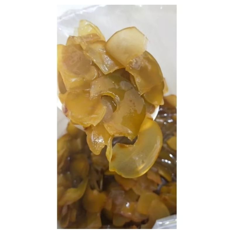 

Manisan Asam gelugur Bali 250 gr