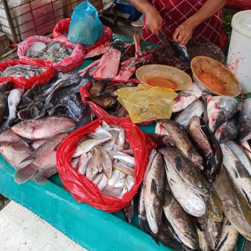 

- Ikan gabus, Ikan sepat, Ikan gurami, Ikan bawal tawar, Ikan tapah, Ikan selais, Teri sungai, Udang gala, Ikan patin sungai - Ikan sungai Pasar pagi instant pekanbaru