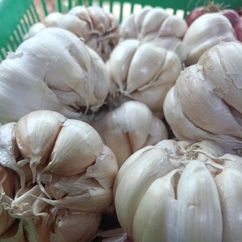 

Bawang Putih sedang, berat 500gr / 1kg