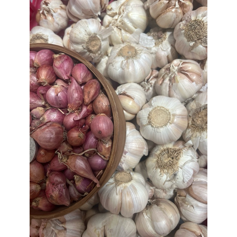 

Paket Bawang Merah tanggung kecil + Baput Sinco