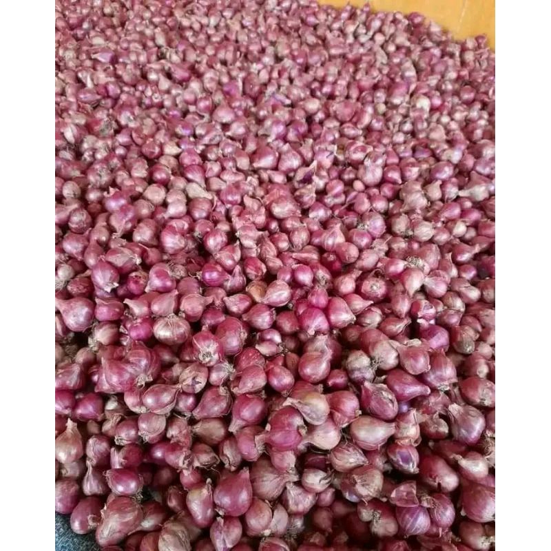 

BAWANG MERAH PROBOLINGGO ASLI 500 GRAM