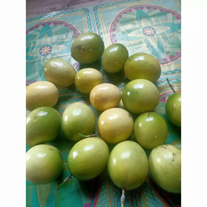 buah markisa 1 kg