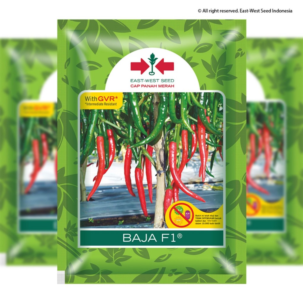 CPM - 125 BUTIR BENIH CABE MERAH BESAR BAJA F1