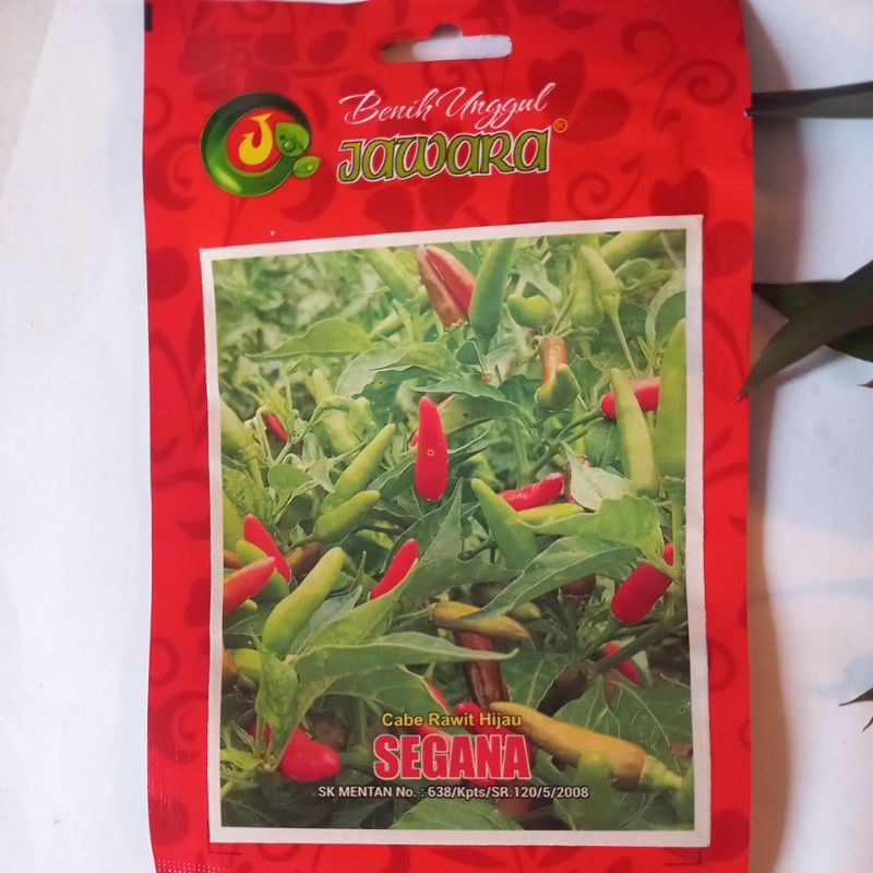 benih cabe rawit hijau tegak segana2 gram jawara seed