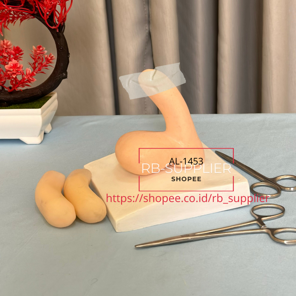 

Sirkumsisi-Manikin/Manekin Praktek Ujian Osce-Alat Peraga Pendidikan Khitan