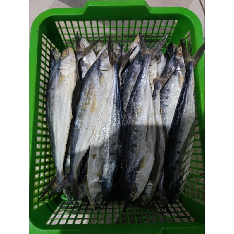 

Ikan Asin Wais Jumbo 1000gr