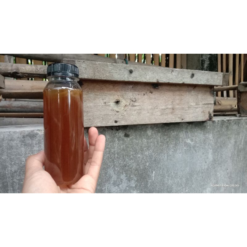 

Madu murni klanceng merapi 100% Asli budidaya lokal.