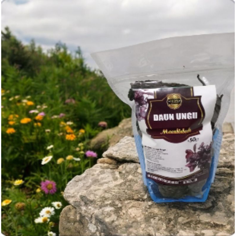 

Teh daun ungu//Teh daun unggu isi 50 gram