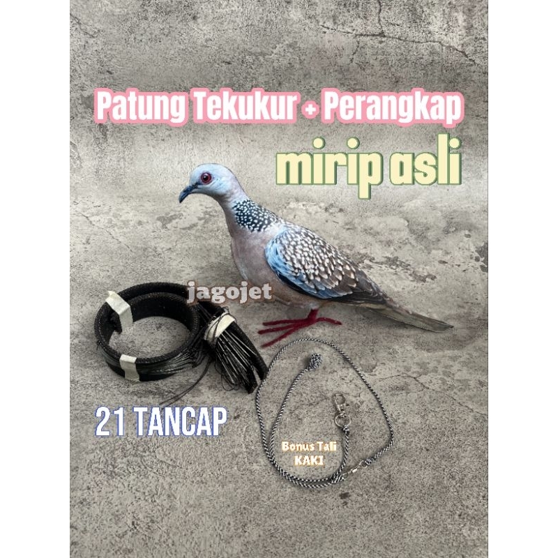 Patung Tekukur + Perangkap Burung Dekukur