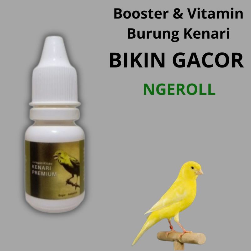 Vitamin Burung Kenari Premium Harian Macet Bunyi Biar Cepet Gacor