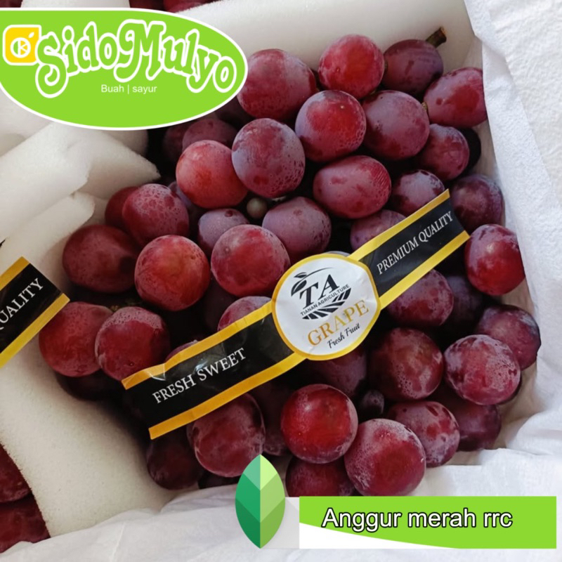 

lAnggur Merah fresh manis 1 kg | ud sidomulyo fresh