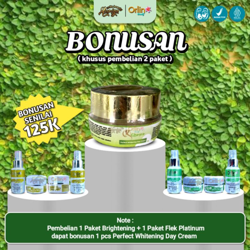 Orlin Beauty Skincare BONUSAN PERFECT WHITENING DAY CREAM Paket Brightening dan Paket Flek Platinum 