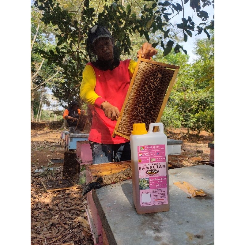 

Madu Bunga Rambutan Abu Azfar ⭐⭐⭐⭐⭐ 100% Asli Murni Bergizi dan Bergaransi