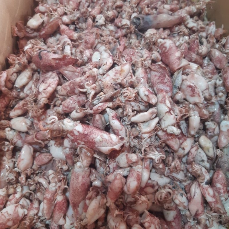 

1 Ons/ 100 Gram Cumi Asin Kering