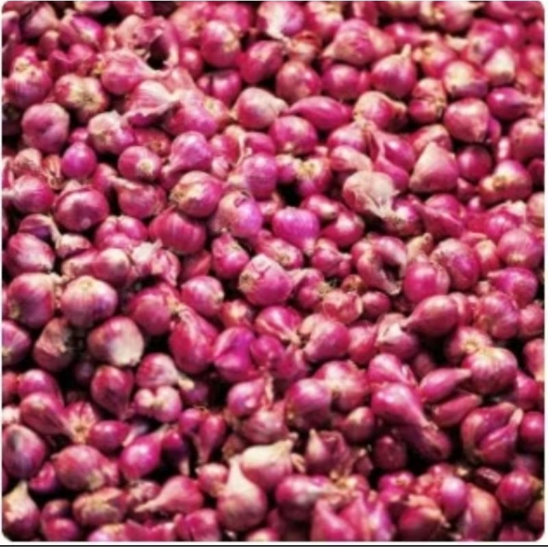 

BAWANG MERAH KECIL ULEKAN 1KG TERMURAH