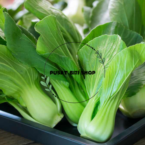 Bibit Biji Pakcoy Benih Pokcoy Organik Tanaman Hidroponik Siap Tanam Kebun Isi 50 Biji