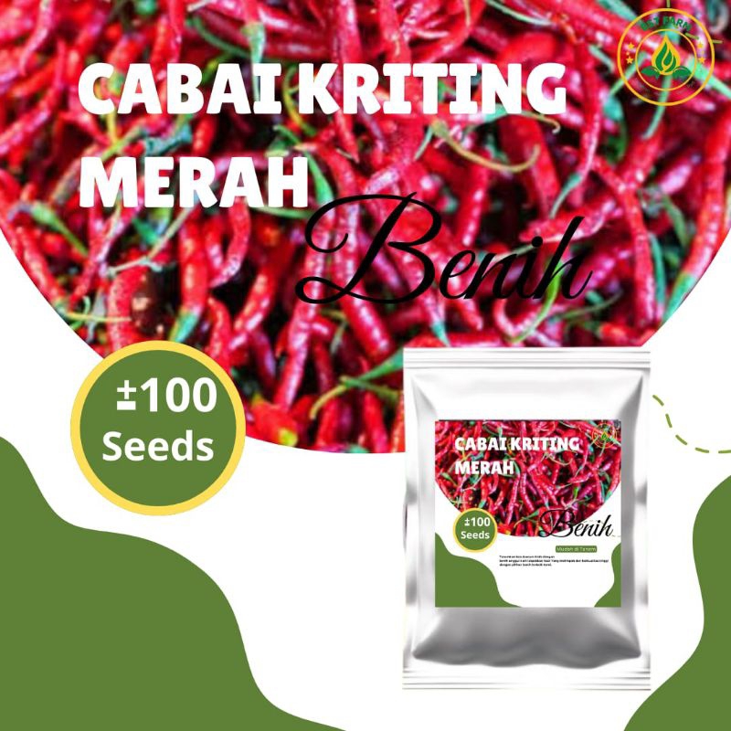 

Benih Biji Cabe keriting isi 100 biji cabai kriting berkualitas