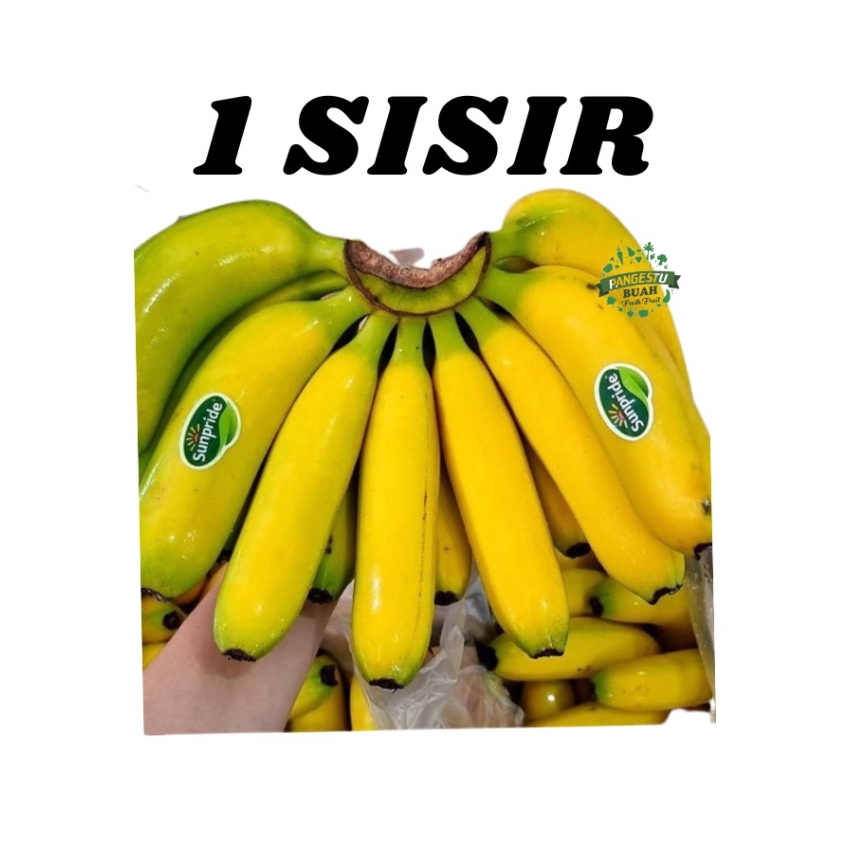 

PISANG CAVENDISH SUNPRIDE