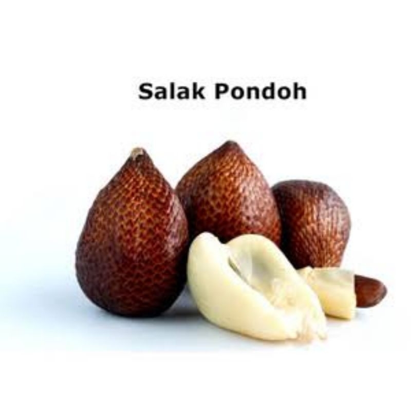 

Buah Salak 1kg