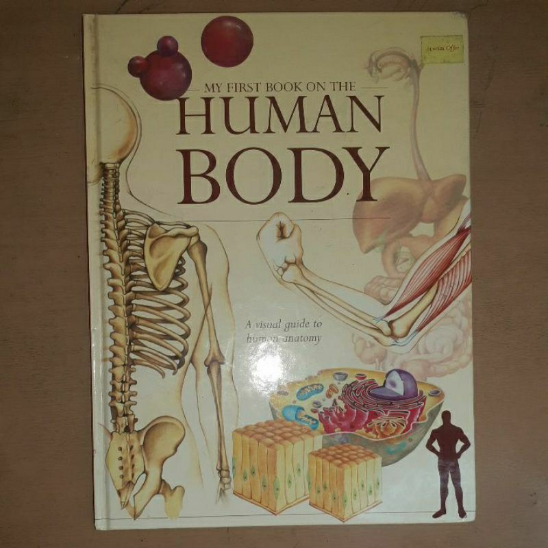 Buku Import Tubuh Manusia Hardcover - My Human Body