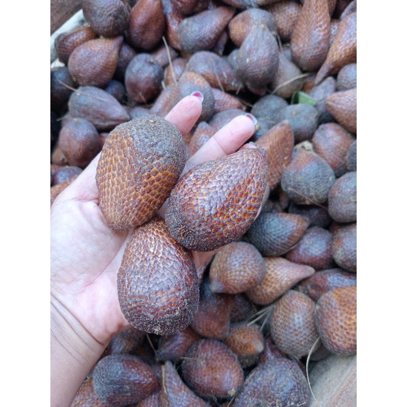 

Buah salak pondoh berat 1kg