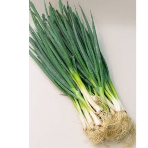 

daun bawang 250 gr