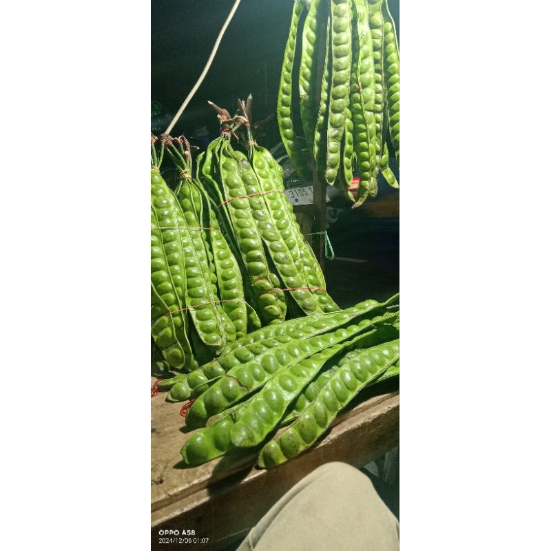 

Pete jumbo biji besar fresh