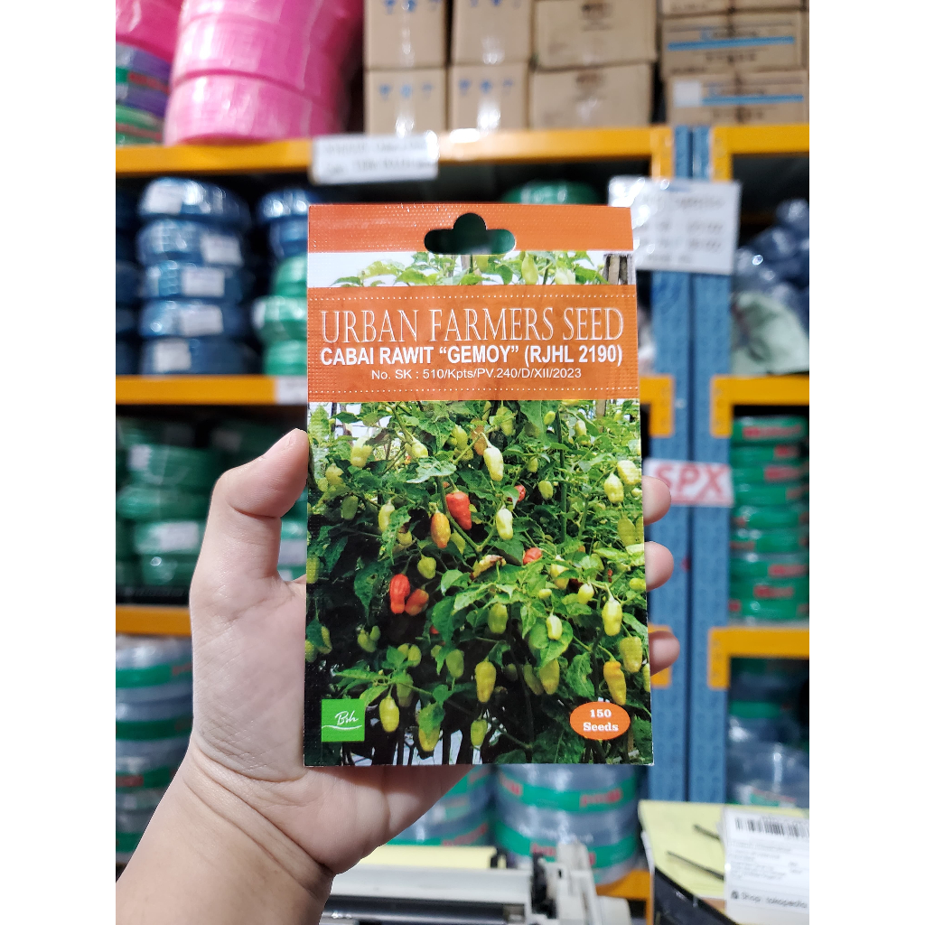 Benih Cabe Rawit Varietas Gemoy-Benih Cabe Rawit Murah-Benih Cabe