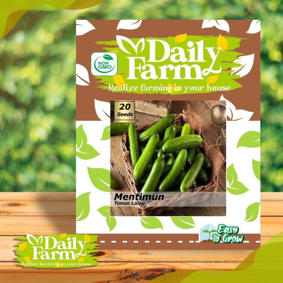 Benih Bibit Baby Timun Ketimun / Mentimun Lalap - Daily Farm