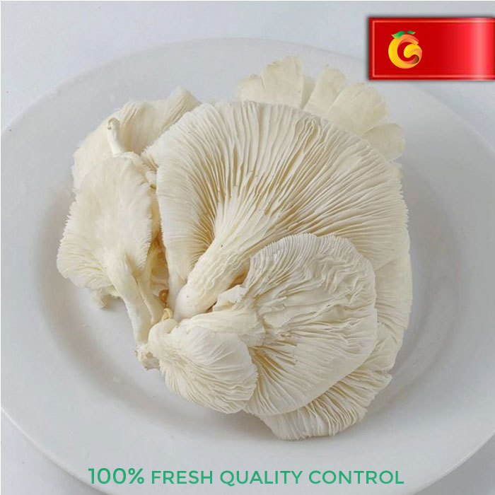 

Jamur Tiram Fresh 250 Gram
