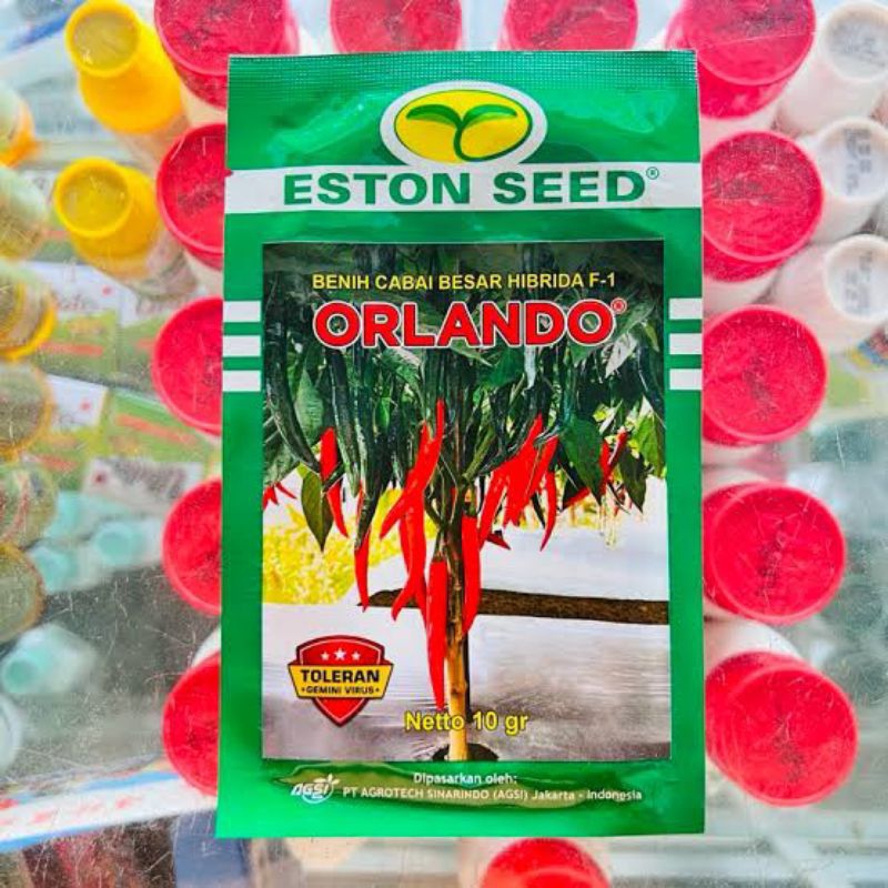 Benih cabe Besar Orlando F1 10 Gram-Eston Seed