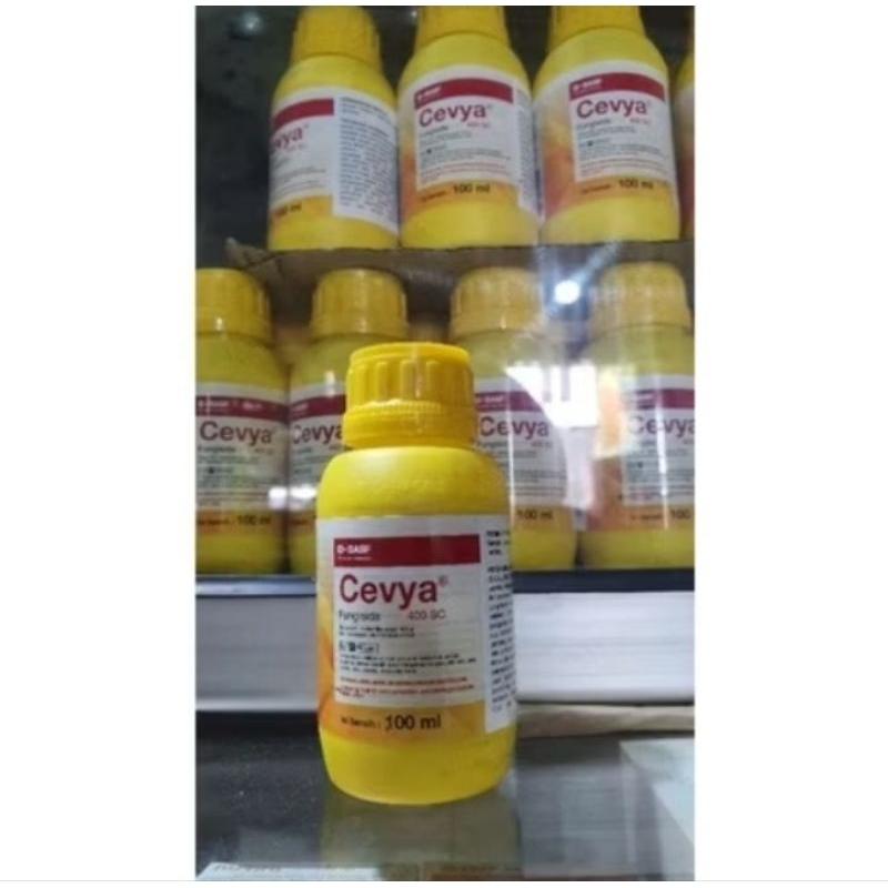 Cevya 100 ml