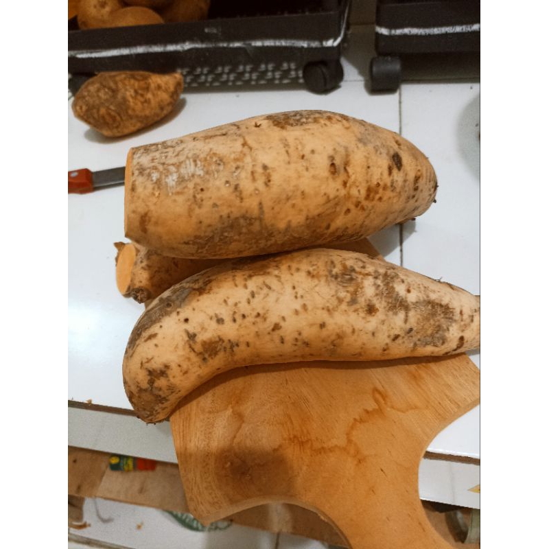 

ubi kuning 1 kg