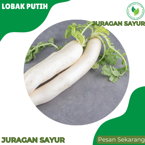 

Lobak Putih 250gr - Lobak Putih Segar 1kg Fresh dan Premium - Juragan Sayur