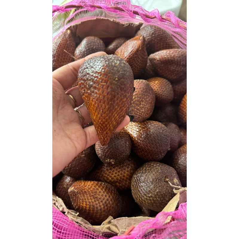 

salak pondoh